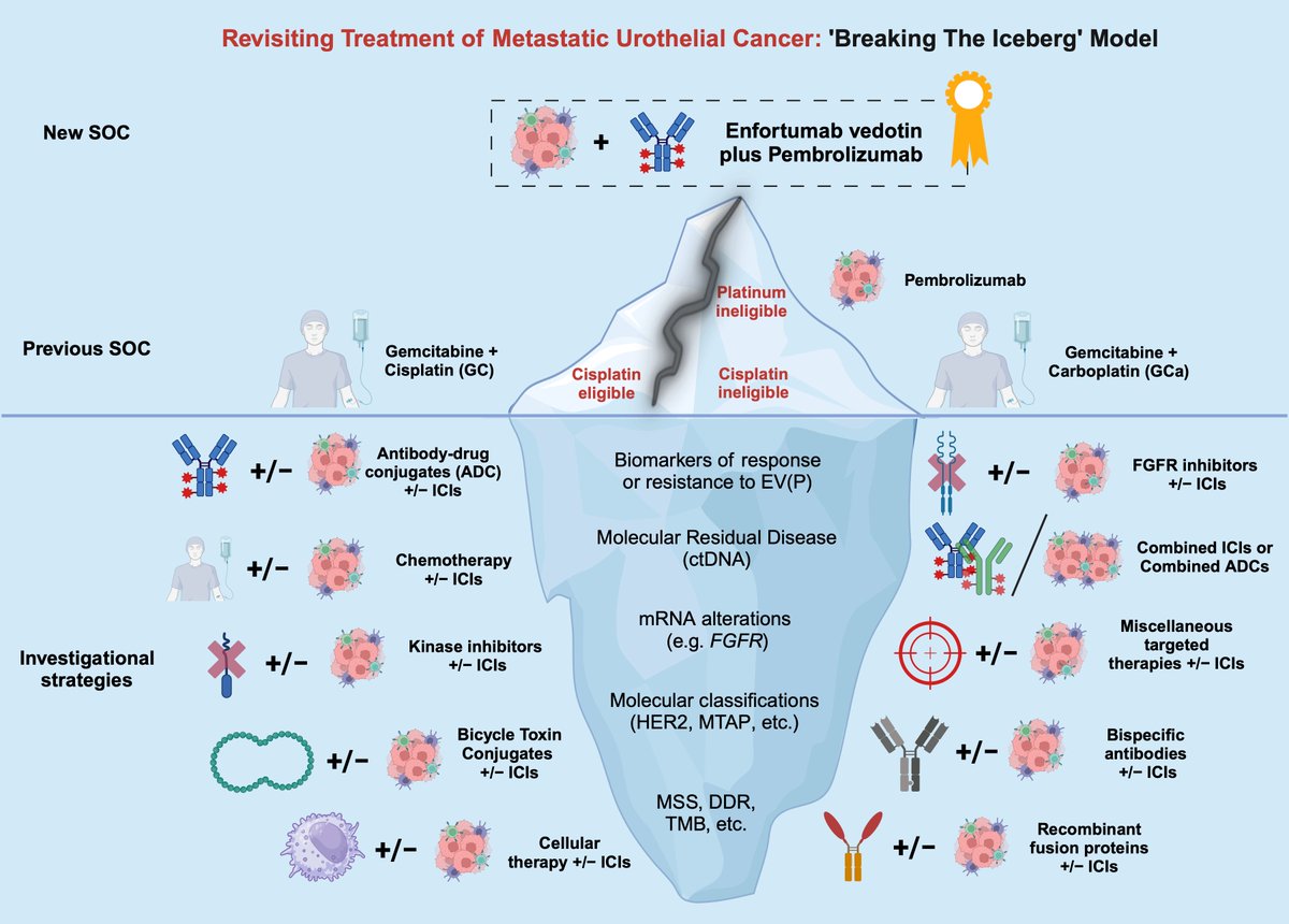 ⏩Our Iceberg Model in Imagining the New 1L Treatment Paradigm of mUC @DocMattCampbell @OAlhalabiMD 

The new EVP 'fissure' challenges the dichotomy of cisplatin/platinum fitness. What lurks beneath the surface? 
👉Emerging #biomarkers & tx strategies: mdpi.com/2227-9059/12/3…