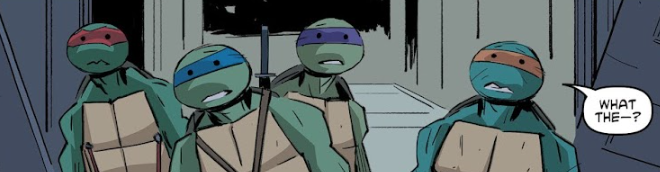 I think Brahm Revel has my favorite tmnt art