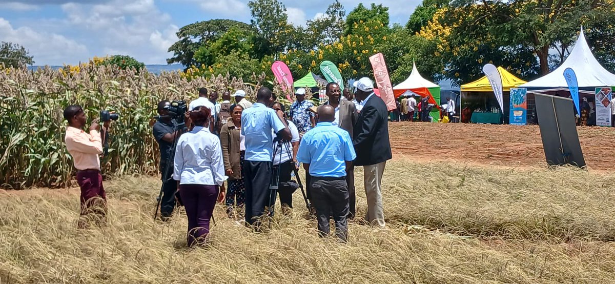 kalromkulima's tweet photo. Welcome  to KALRO Agricultural Mechanization Research Institute Open week  Exhibition ongoing at KALRO Katumani,Machakos county. Join us to learn  about out technologies #KALROMkulmaOpenWeek https://t.co/UfBGIxcC9w