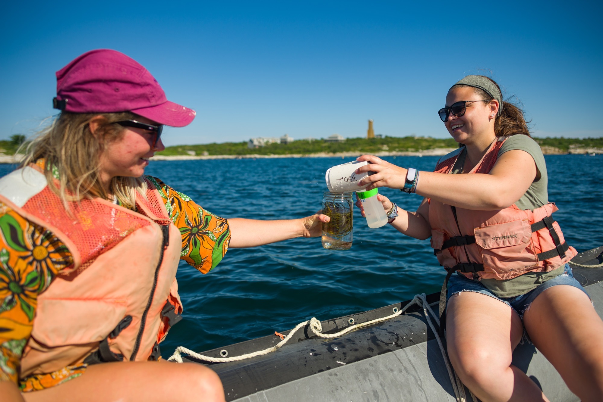 Shoals Marine Lab on X: Exploring everything in the ocean big to