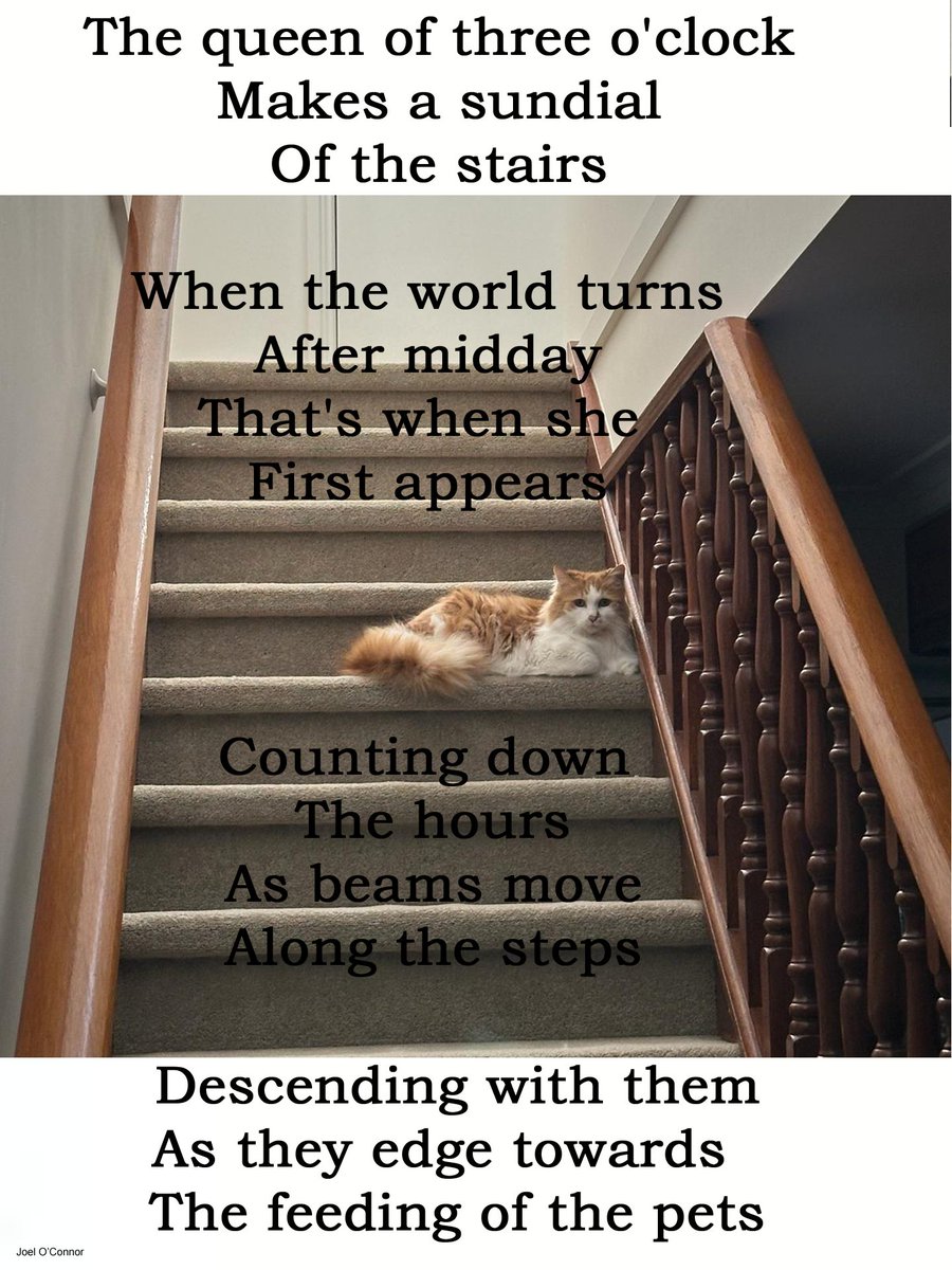 The queen of three o'clock
Makes a sundial
Of the stairs

When the world turns
After midday
That's when she 
First appears...

#CatsOfTwitter #cats #breakfast #lunch #dinner #australianpoetry #victoria #melbourne #writingcommunity #POEMS #poetry #poetrycommunity