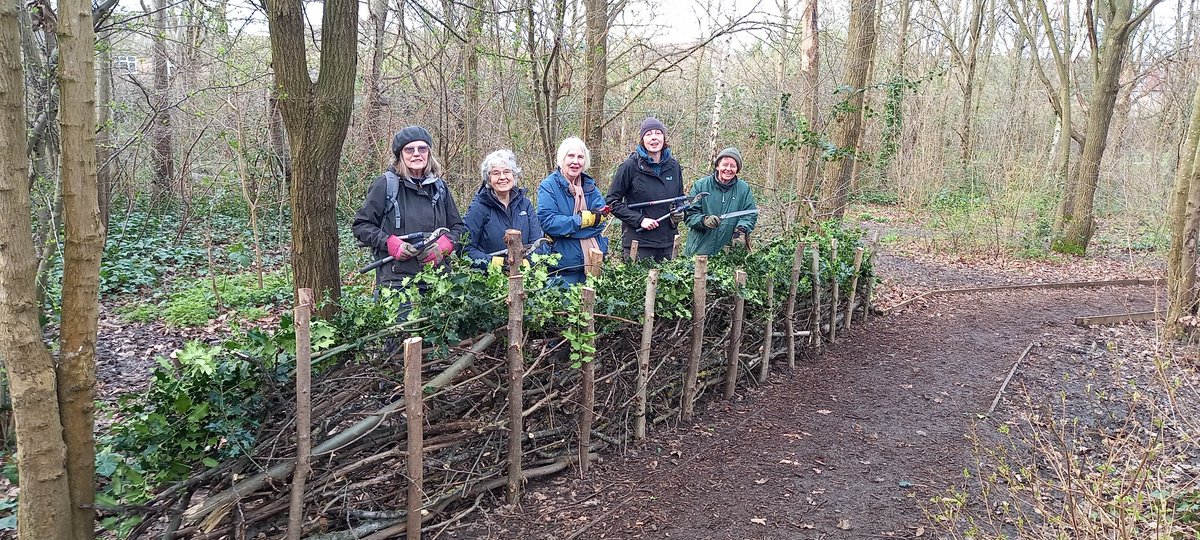 TCV volunteers working in the woodland area of Lordship Rec  making dead hedges to protect some areas from footfall.
<a href="/LordshipHub/">Lordship Hub Co-op</a> <a href="/TottenhamTrees/">TottenhamTrees</a>