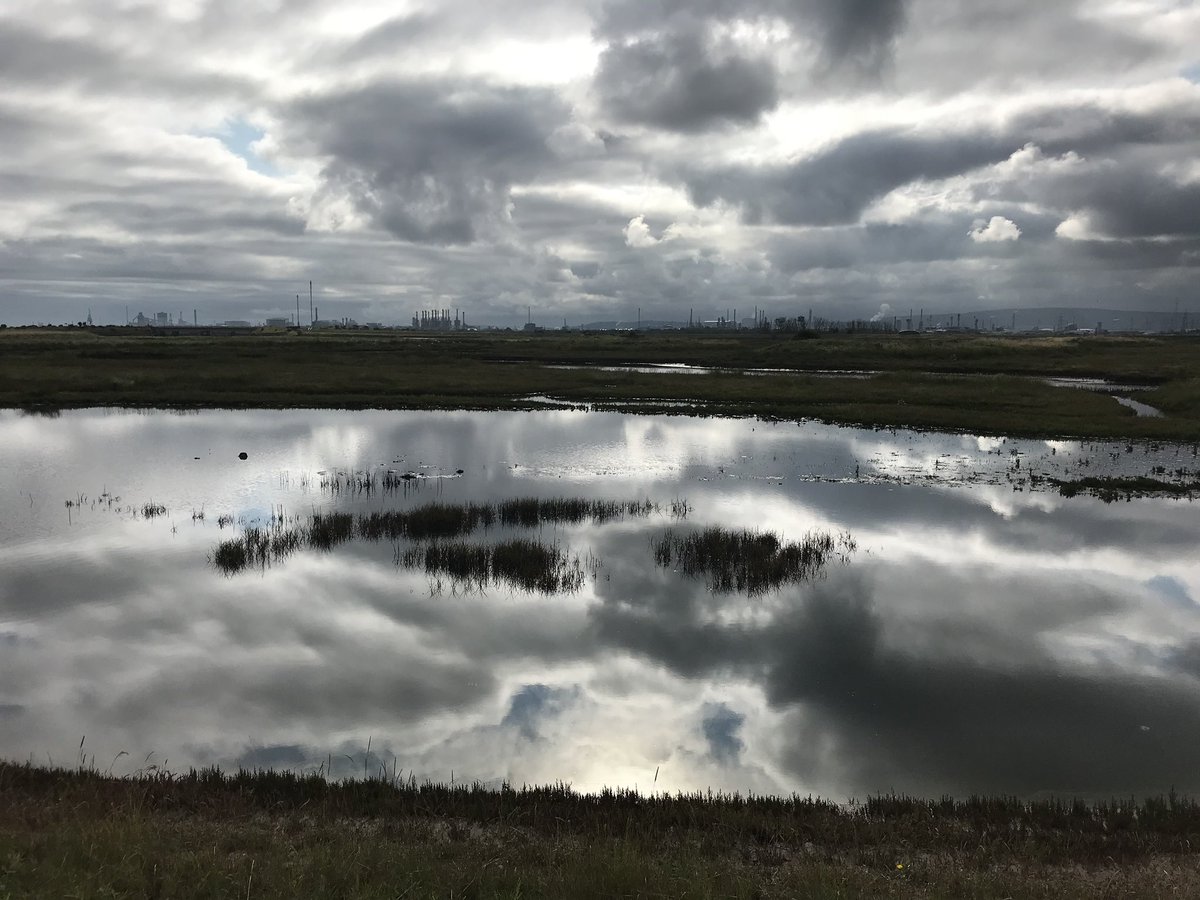 So today @EnvAgency @JacobsConnects @ManMetUni have published a suite of reports looking at #bluecarbon sequestration in restored #saltmarsh sites in England, such as this one in Greatham on the Tees Estuary