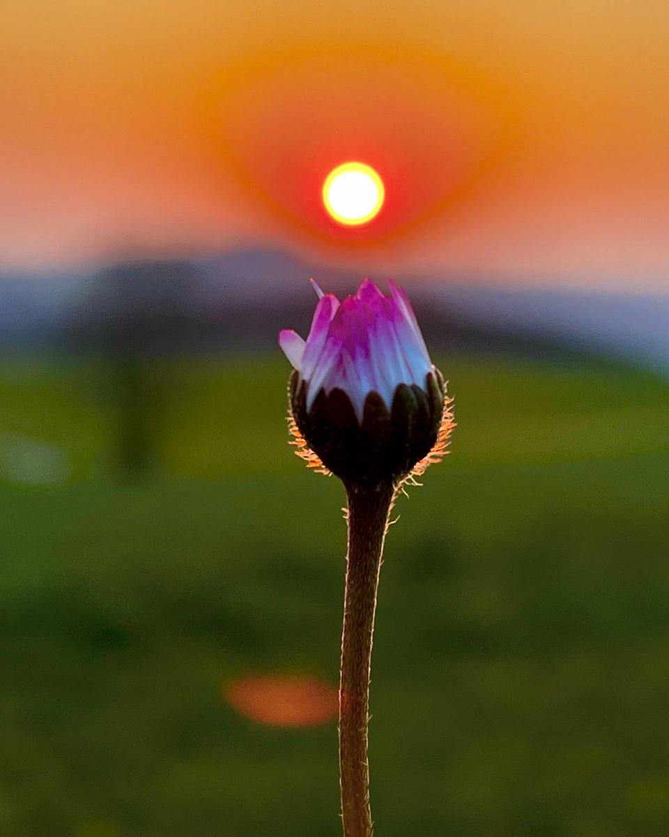 TLeoni311's tweet image. Good evening 💫 🧡