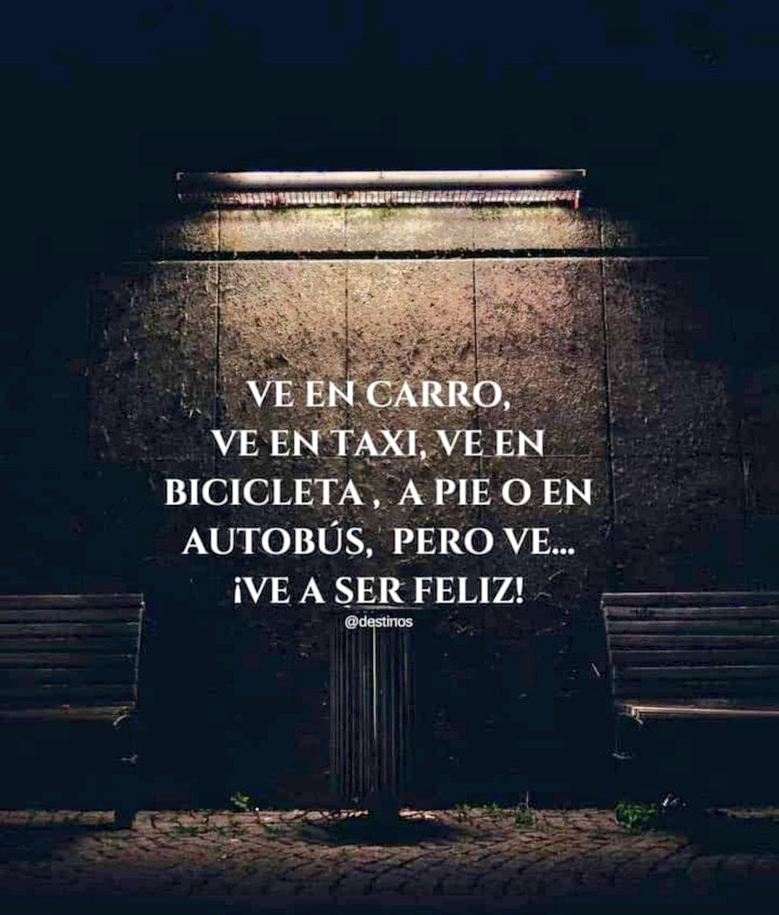 vocho frases motivacionales #autosmexico🇲🇽 #vagmexico #aircooled | TikTok, image size:872x1024