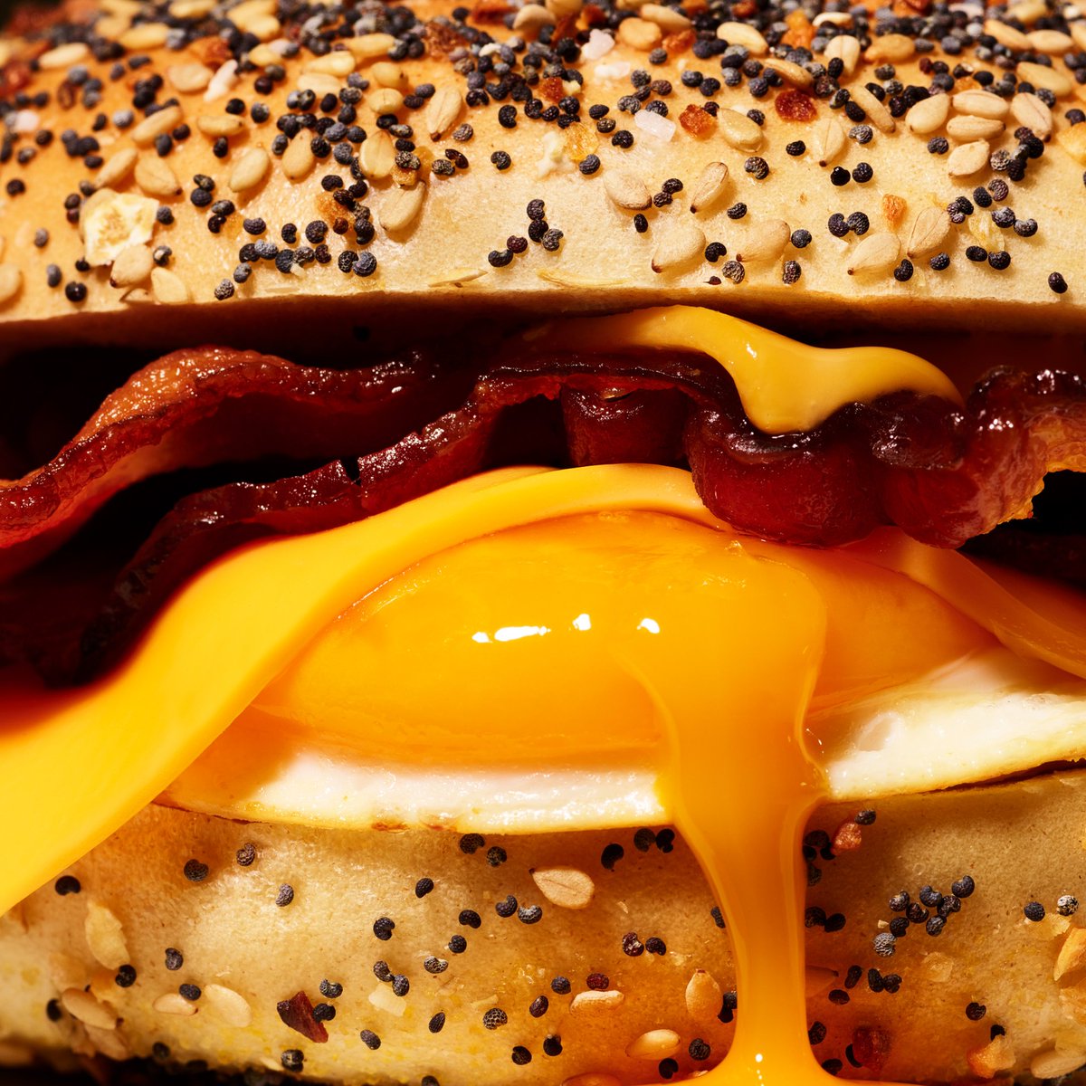 High Tide tweet media