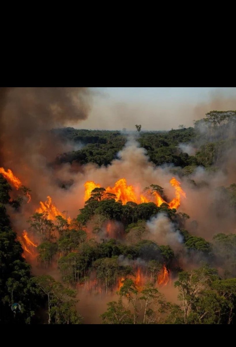 Matheus Machado (@matheusmachaado) on Twitter photo 