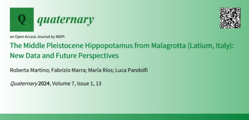 RobertaMartino___ tweet media