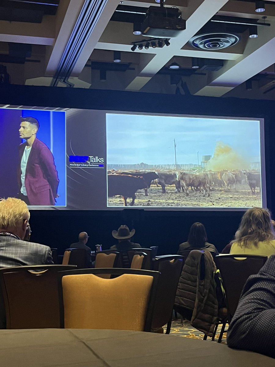 KCTait's tweet photo. Talking data analytics & AI with @ShawnKanungo and @TitanLivestock to kick off day 2 @ABBeefConf (& large coffees)
#mnpag #abbeefconf24 https://t.co/ftNDbxjeAP
