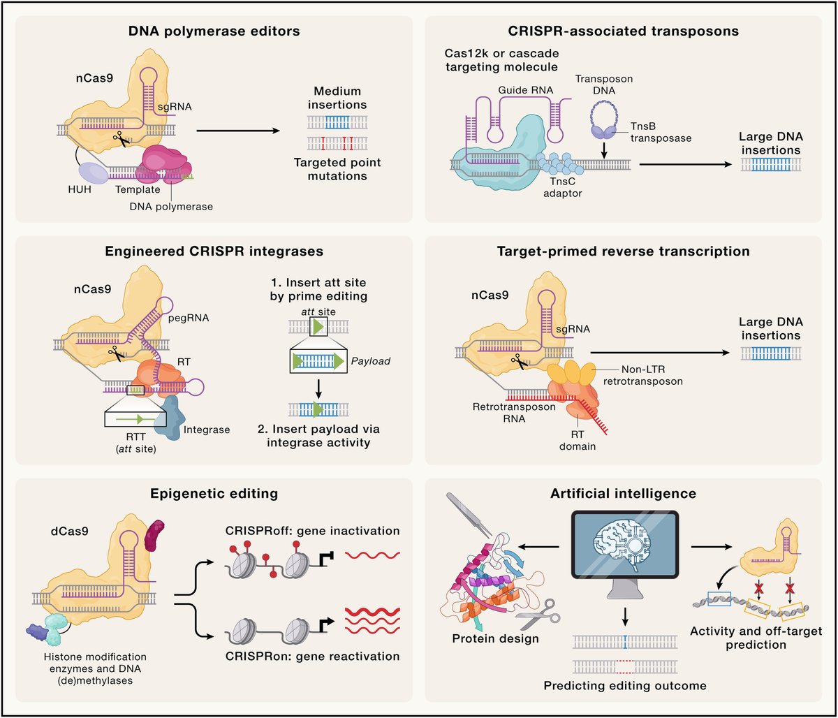 MartinPacesa's tweet photo. CRISPR gene editing has the potential to solve many problems in research, agriculture, and medicine. For the special 50th anniversary issue of @CellCellPress, we discuss its past, present and future directions with @MartinJinek and @OanaPelea.
https://t.co/XehPJjTKec https://t.co/QXK3mVDbBQ