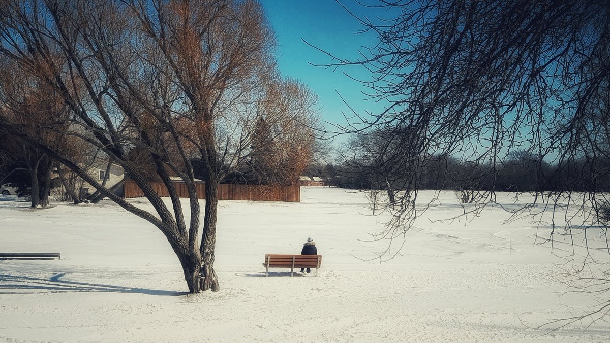 شاخ خشکیم به ما سردی عالم چه کند
پیش ما برگ و بری نیست که سرما ببرد
#وحشی_بافقی

کانادا،‌ اسفند ۱۴۰۲