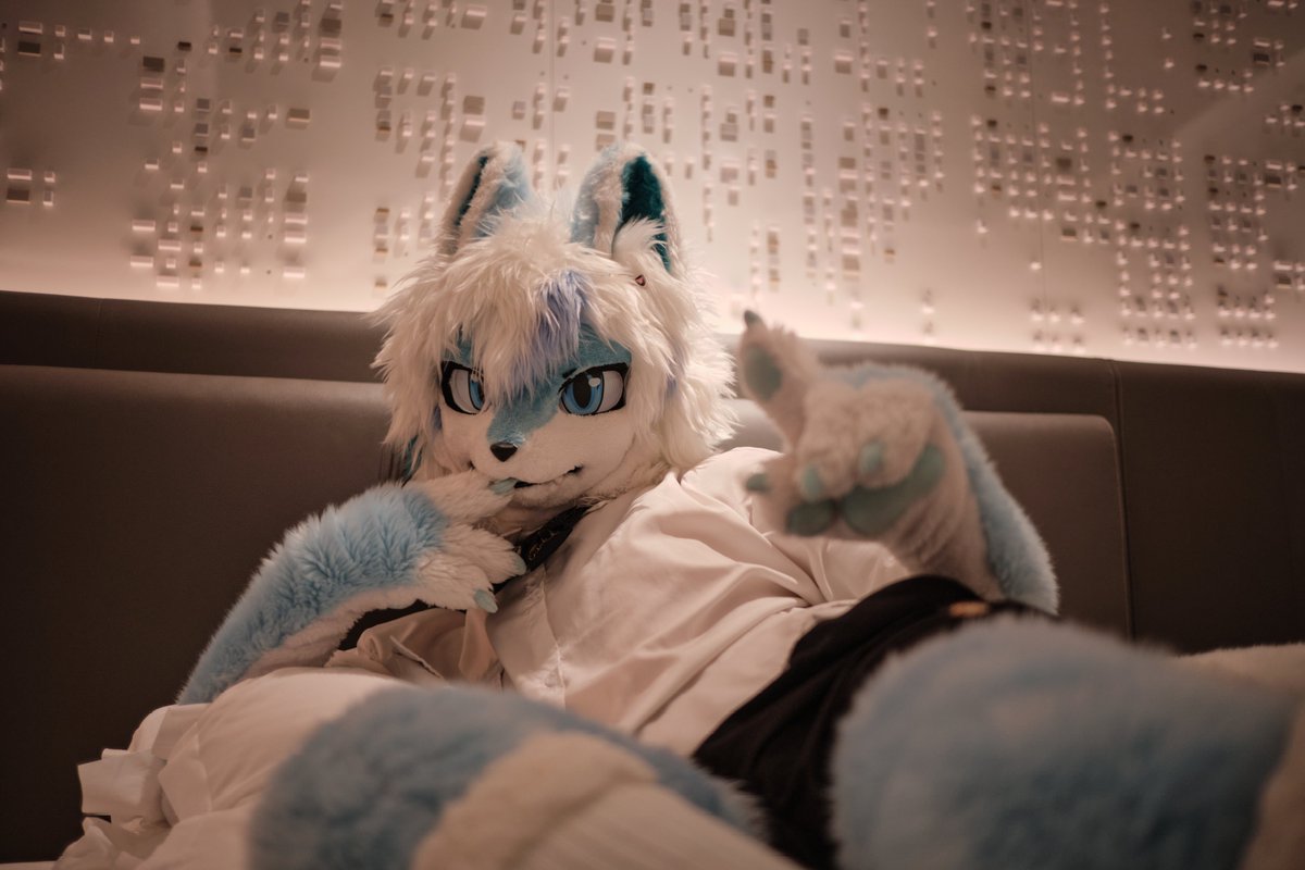 Glaiance_QiuHu's tweet photo. ＃Fursuit #FursuitFriday

"——深夜好宝贝 现在已经是三月了"

📷:@真实于方方 https://t.co/lUVh3dmaFi