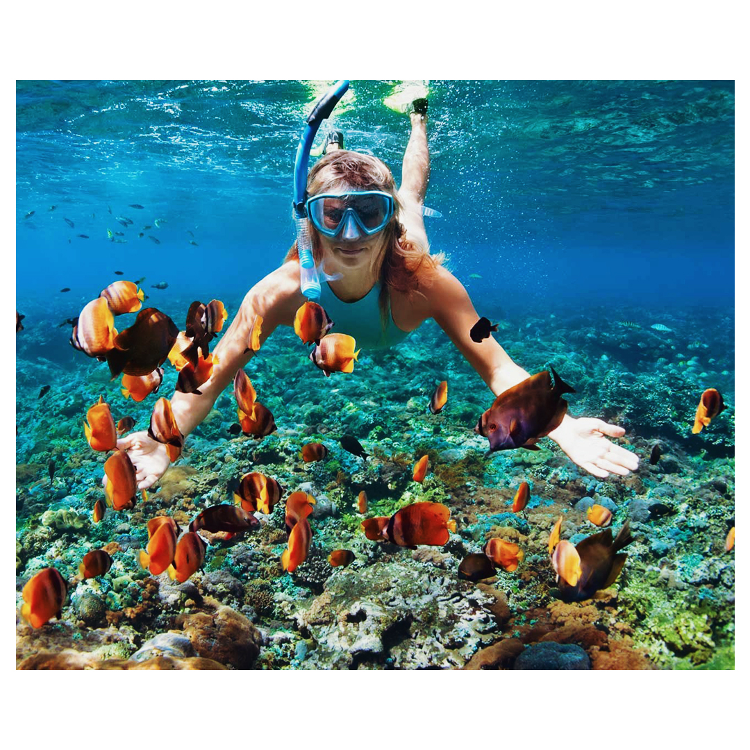 kontikiX's tweet photo. Enjoy an immersive snorkeling experience, exploring the vibrant coral gardens, and encountering a symphony of aquatic life in Isla del Caño. #AboveSeaLevel #SmallLuxuryHotels #BCorp https://t.co/W8llNi4dbe