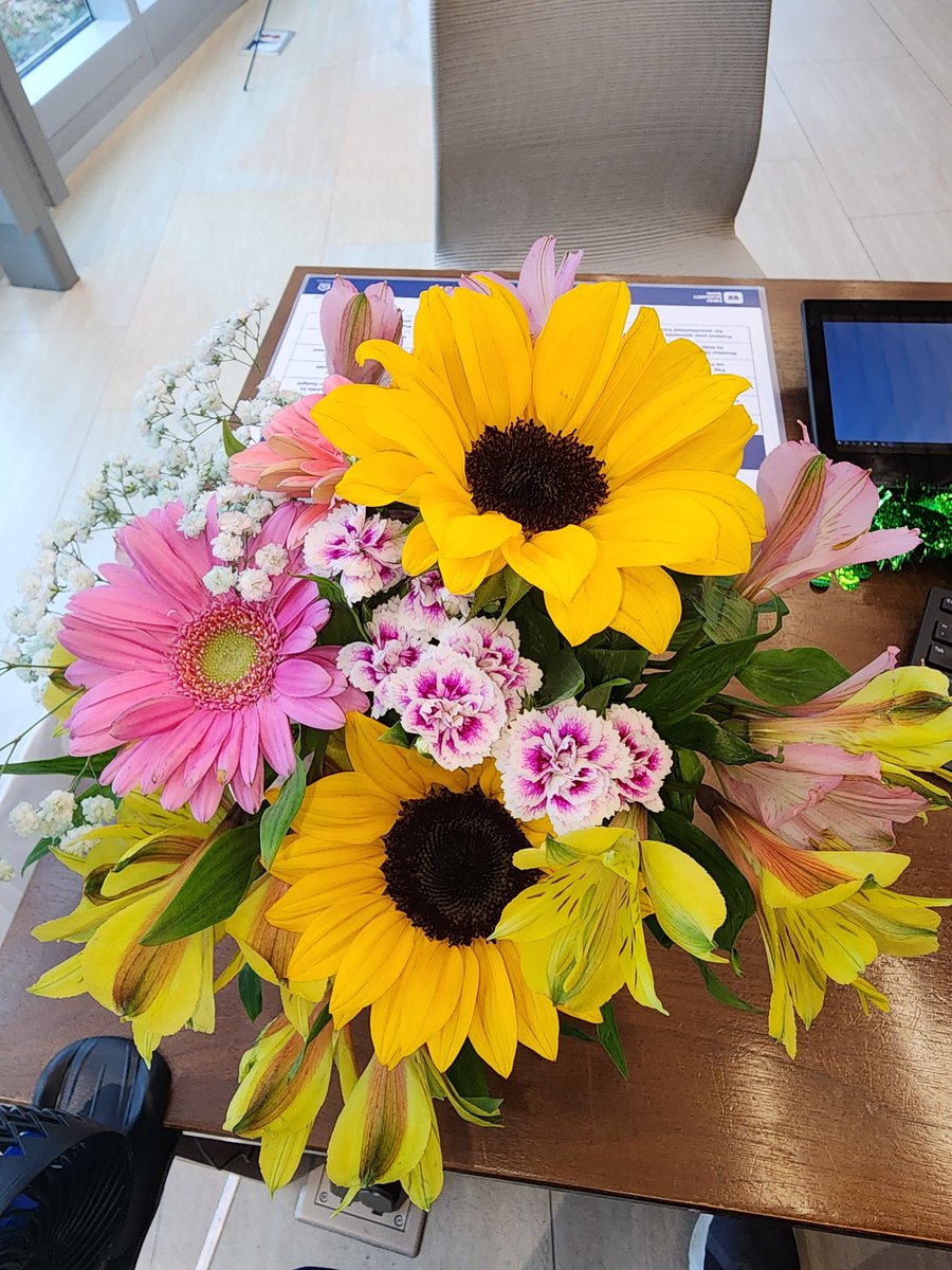 ShariAlden's tweet photo. My coworkers are so thoughtful and kind!!! #missingyou #myboyBaleaux https://t.co/pCLbMcaVSJ