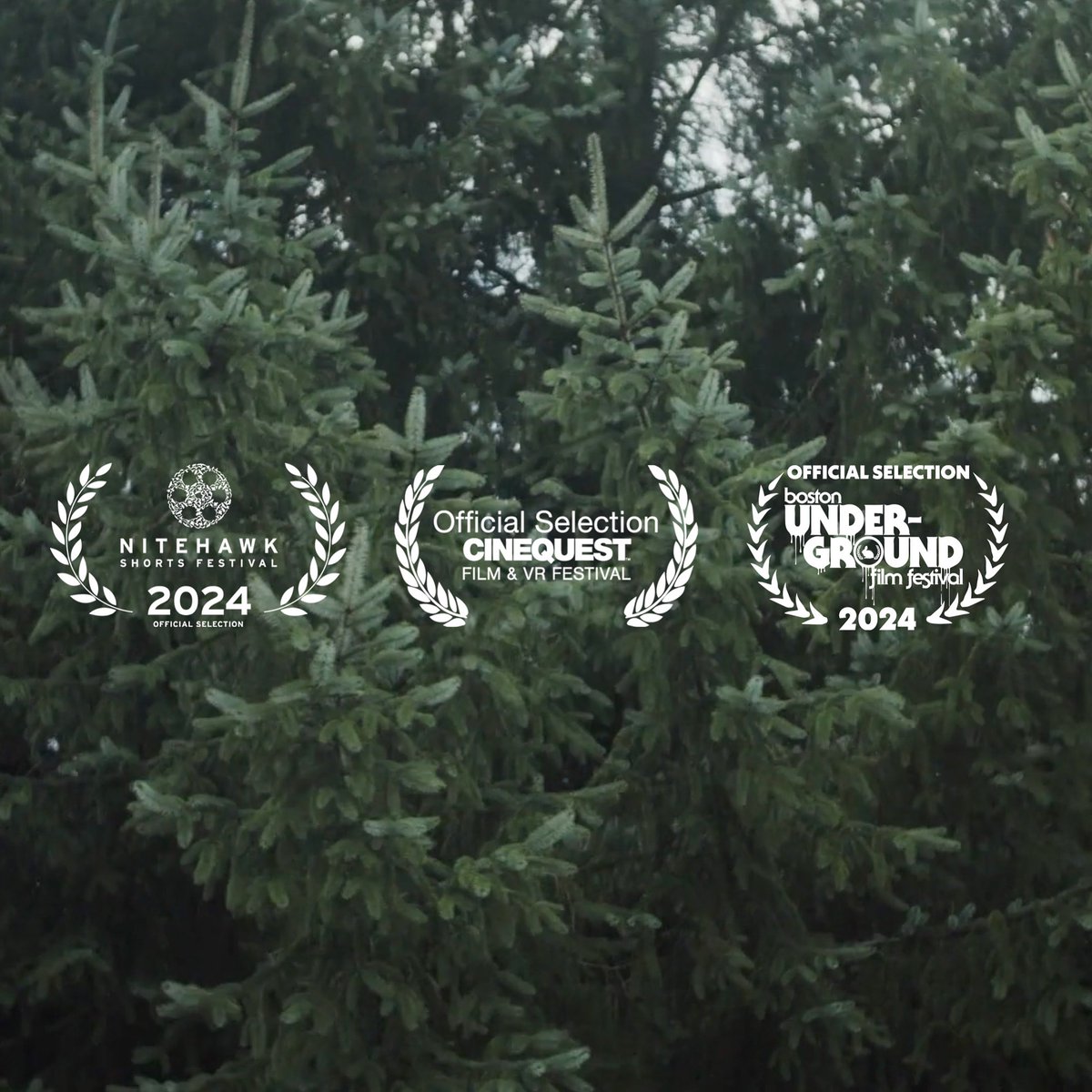 Simone Smith tweet media