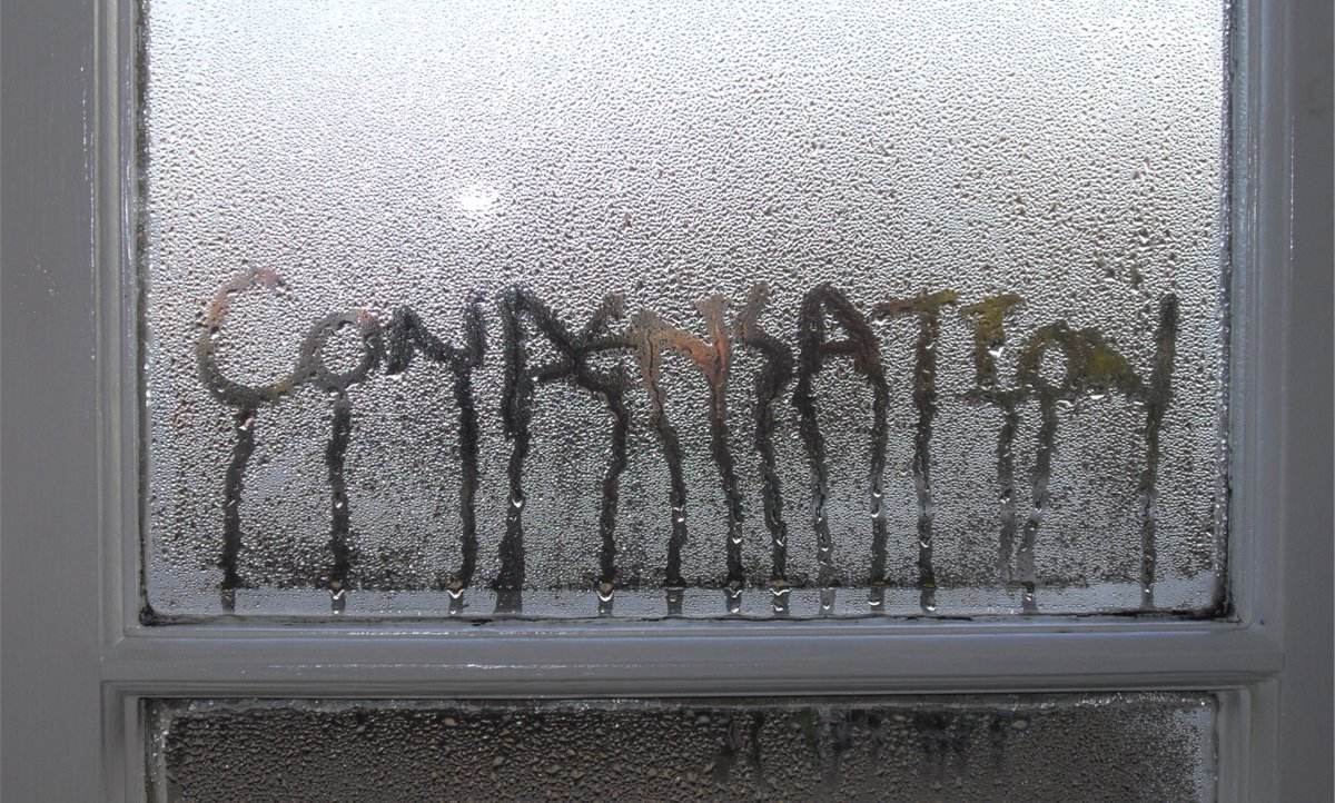 Damp, Mould and Condensation?
We take cases of damp and mould really seriously.
If you have issues with damp, mould or condensation in your home, please tell us so that we can respond as soon as possible.
For more information, see the HHS website:
hhs.org.uk/condensation-a…