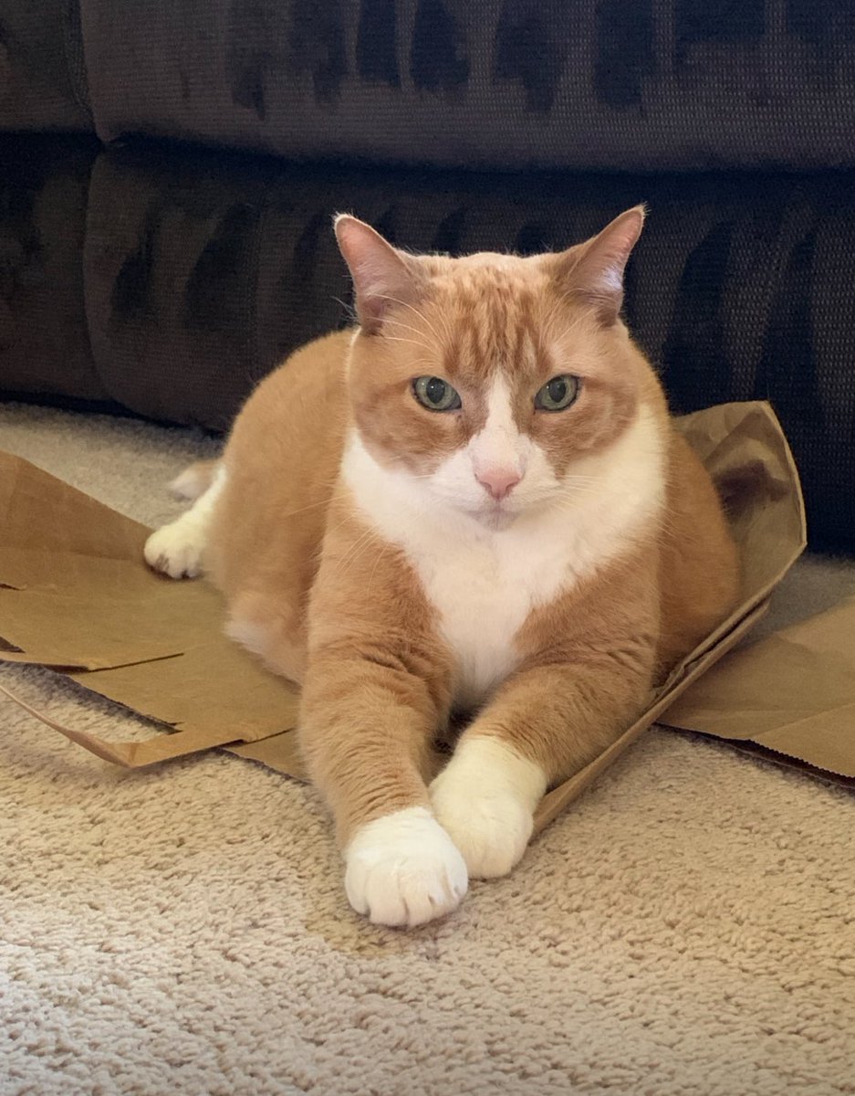 🐛🌷Dean🦋🪴 tweet media