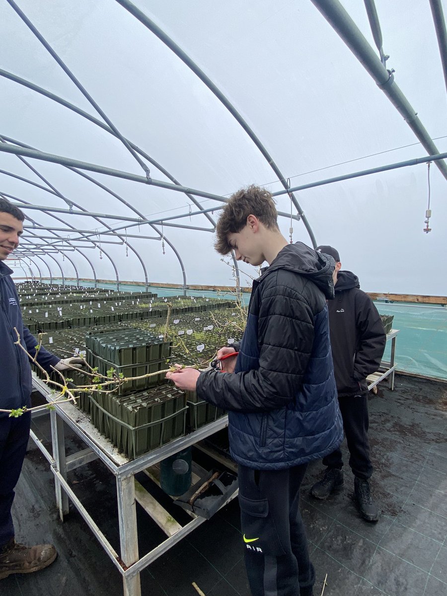 PHS_Geography's tweet photo. The final reward for James (Y10) winning the @DenbighshireCC ‘postcards from the future competition’ was an outing to the St. Asaph tree nursery. We’ve had a fun day taking hardwood cuttings, repotting tree cuttings, setting wildlife cameras and ecological surveys @PrestatynHigh https://t.co/0bMP0dqraH