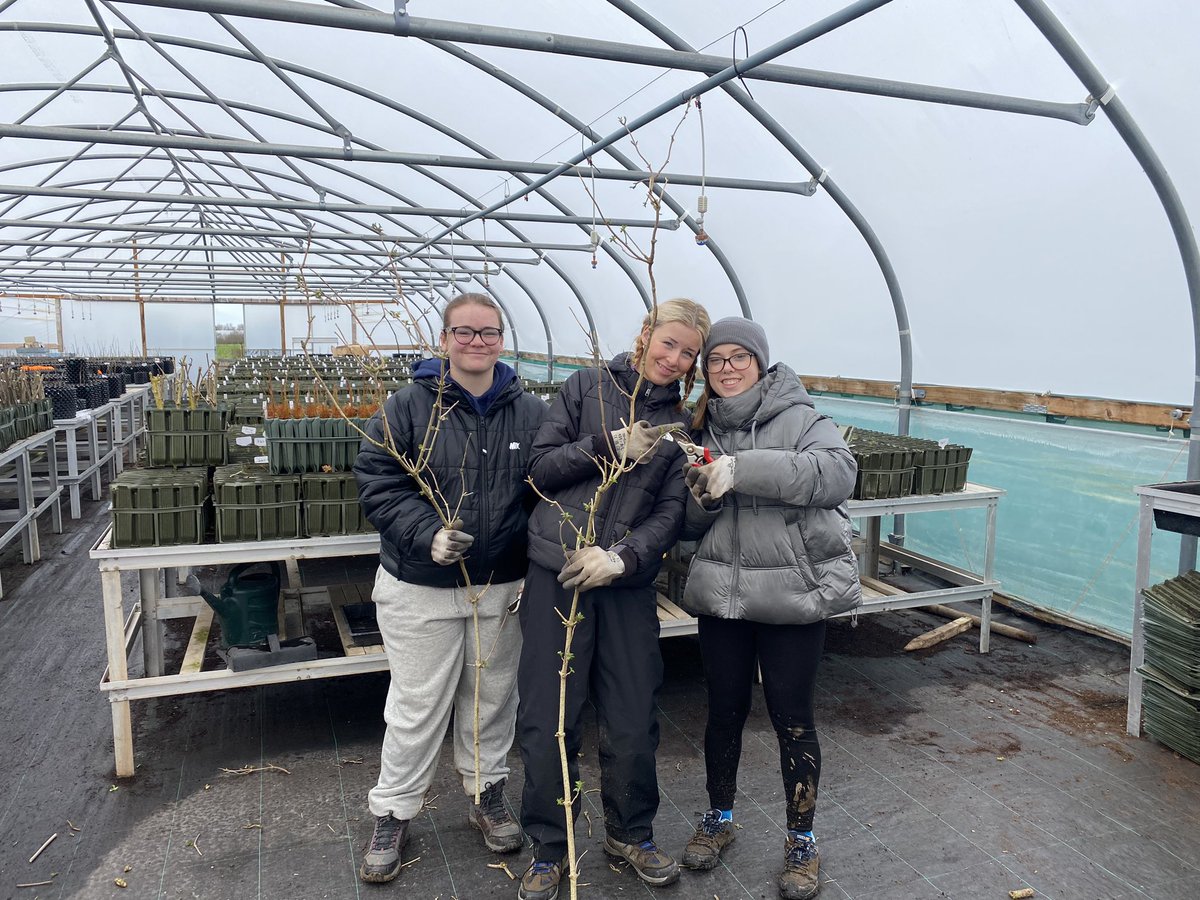 PHS_Geography's tweet photo. The final reward for James (Y10) winning the @DenbighshireCC ‘postcards from the future competition’ was an outing to the St. Asaph tree nursery. We’ve had a fun day taking hardwood cuttings, repotting tree cuttings, setting wildlife cameras and ecological surveys @PrestatynHigh https://t.co/0bMP0dqraH