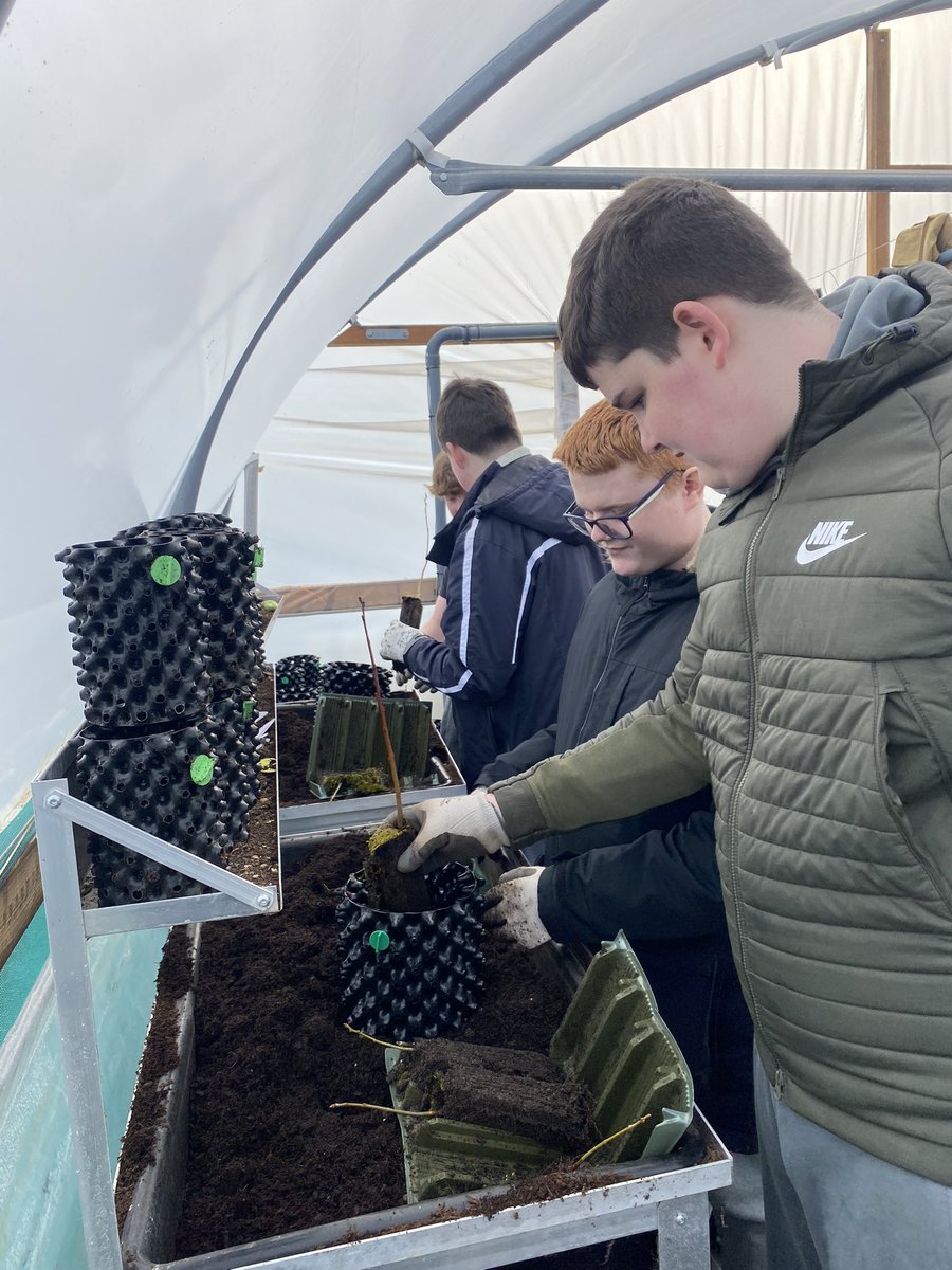 PHS_Geography's tweet photo. The final reward for James (Y10) winning the @DenbighshireCC ‘postcards from the future competition’ was an outing to the St. Asaph tree nursery. We’ve had a fun day taking hardwood cuttings, repotting tree cuttings, setting wildlife cameras and ecological surveys @PrestatynHigh https://t.co/0bMP0dqraH