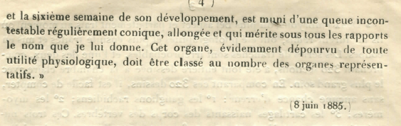 Denis Duboule tweet media