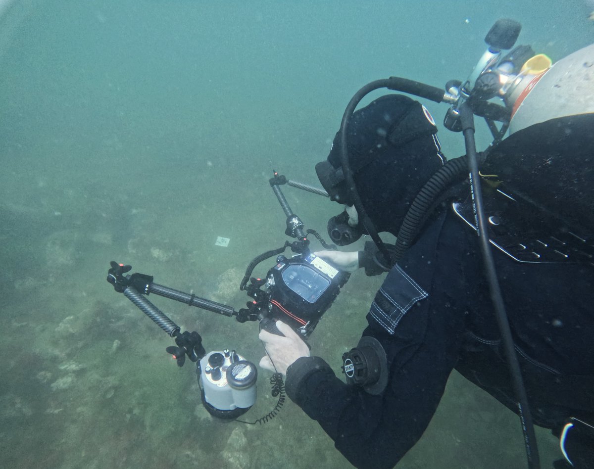 The second fieldwork of the #Tectonic #project is taking place in Puerto Madryn, Argentina.
The preliminary results of this campaign will be presented on March 1st at the 𝗘𝗰𝗼𝗰𝗲𝗻𝘁𝗿𝗼 𝗣𝗮𝗺𝗽𝗮 𝗔𝘇𝘂𝗹.

Read the full article➡️ bit.ly/4bT8diG