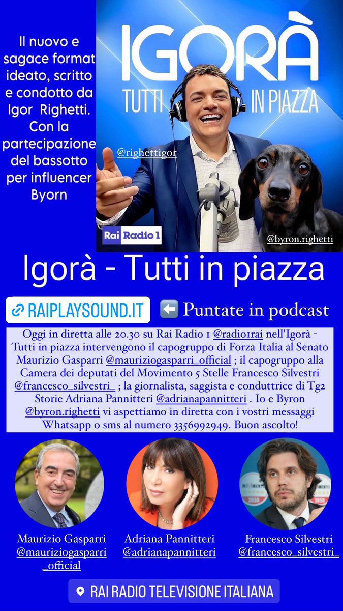 Oggi in diretta alle 20.30 su #RaiRadio1 nell'Igorà - Tutti in piazza intervengono il capogruppo di Forza Italia al Senato Maurizio Gasparri; il capogruppo alla Camera del Movimento 5 Stelle Francesco Silvestri; la giornalista e conduttrice di Tg2 Storie Adriana Pannitteri.