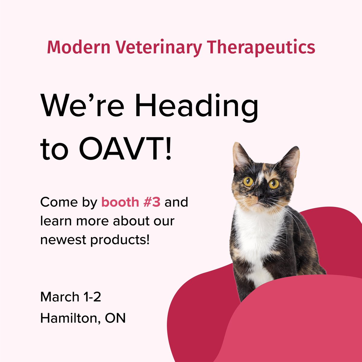 Modern_Vet's tweet photo. We are excited to be a part of the Ontario Association of Veterinary Technicians Conference! @The_OAVT 🐈‍⬛🐕 Join us at booth 3 to learn about our new products that elevate pet care! 
#OAVT #OAVT2024 https://t.co/jApgR7YvKc