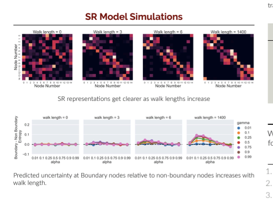 Come see my poster [1-154] at #cosyne! I show how successor representation accurately predicts that we can learn statistical patterns even with short exposures!