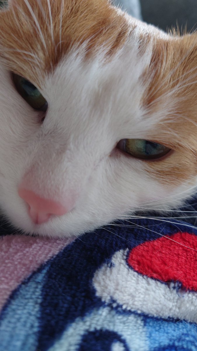 MB (@250gte) on Twitter photo 