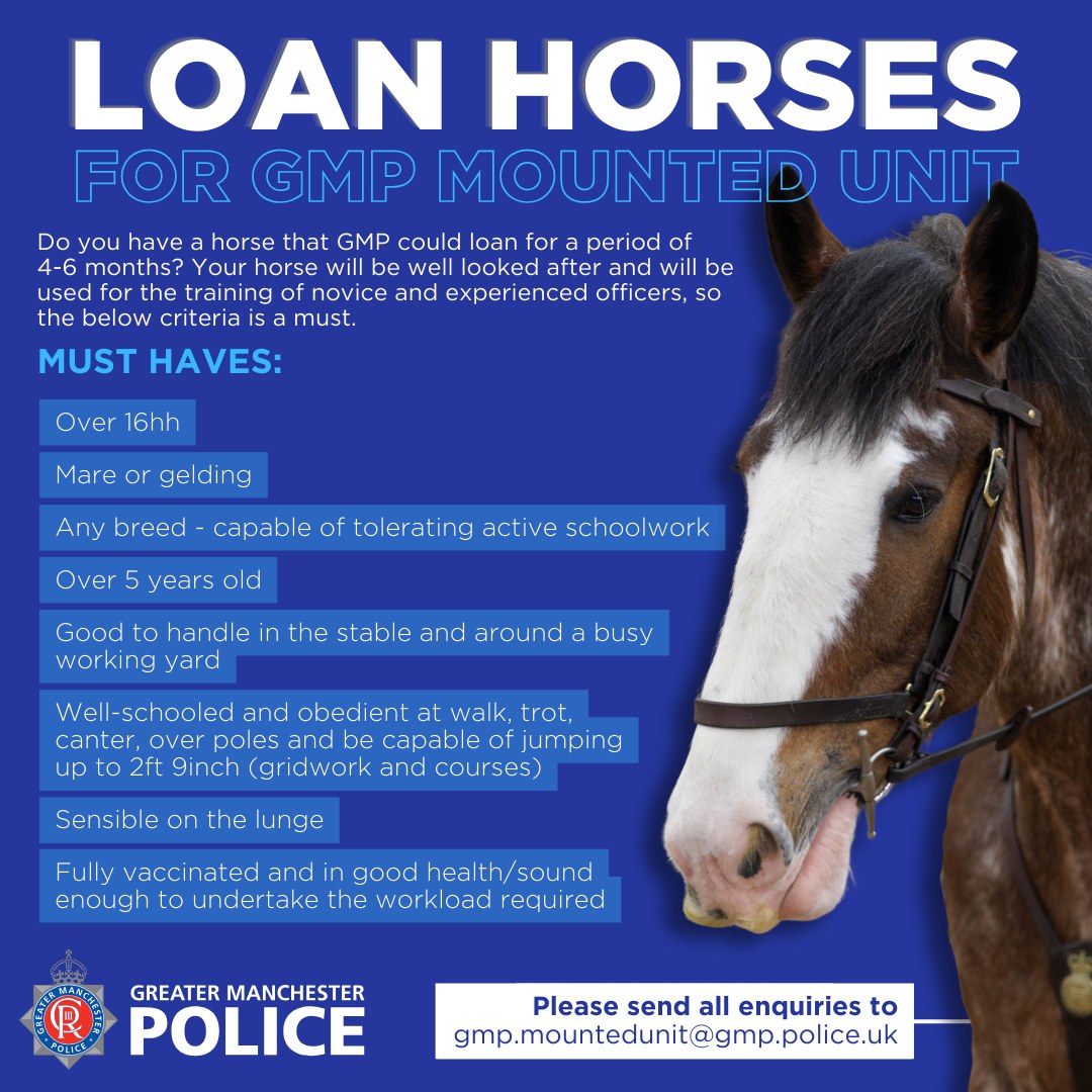 #HORSES | GMP is looking for loan horses to join their Mounted Unit. 🐴 If you are interested, please send all enquiries to gmp.mountedunit@gmp.police.uk