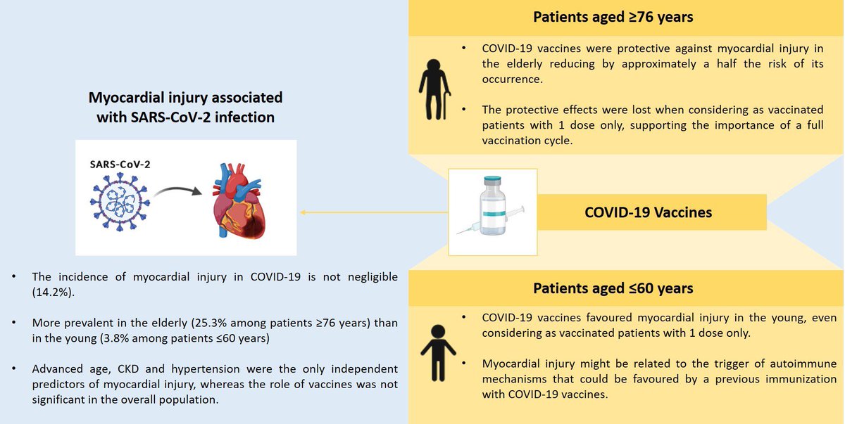 Our latest study exploring the relation between vaccine and myocardial injury in patients with COVID-19🦠

In patients ≥76 y/o, vaccines were protective, while in young patients ≤60 y/o previous vaccination 💉portended higher risk of myocardial injury 

academic.oup.com/ehjqcco/advanc…