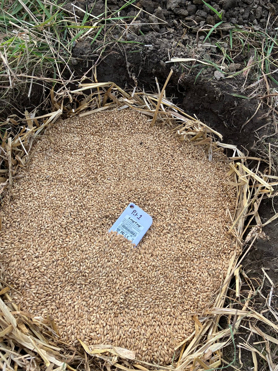 Join the FOODSEC team on 21 March at <a href="/cornstown_house/">Cornstown House</a> to see if our experimental grain storage pits have been successful! Further information and registration at ucd.ie/archaeology/re…

<a href="/IrishResearch/">We are now Research Ireland</a> <a href="/NationalMons/">National Monuments Service</a> <a href="/ucdarchaeology/">UCD Archaeology, Dublin</a> <a href="/ucddublin/">University College Dublin</a>  <a href="/acsuarchaeology/">ACSU</a>
#LoveIrishResearch
