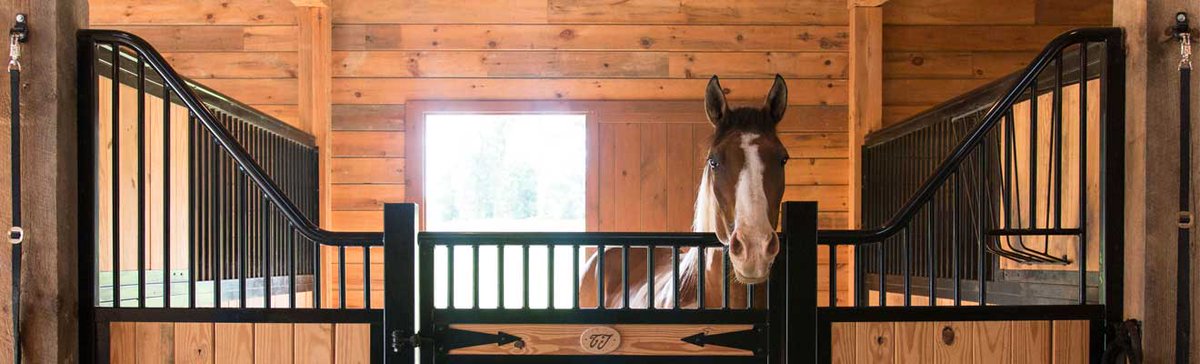 @horseflorida horseflorida.com LOOKING for a Horse Property in Florida this year? 239-272-4663 Equestrian properties and luxury homes with land in FL. #horseproperty #horseproperties #equestrianproperty #equestrianproperties #Horses  #horse #floridahorseproperty #horsefram