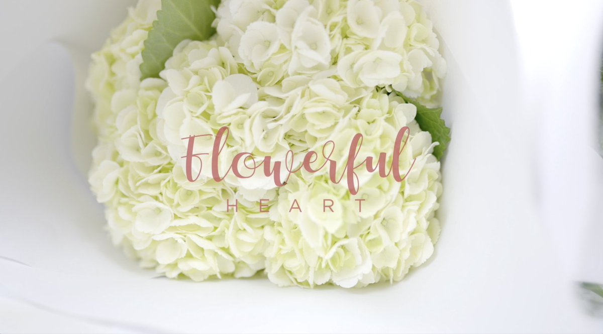 ThruMyEyesPhoto's tweet photo. Thru My Eyes Photography can tell your story in an authentic and unique way with a homepage video made just for you.
https://t.co/ZdKFkUvdwZ
#Videography #Photography #HomePageVideo #FullServiceVideography #Sarasota #HomePageVideo #CustomerExperienceVideo https://t.co/EvBdzaneVj