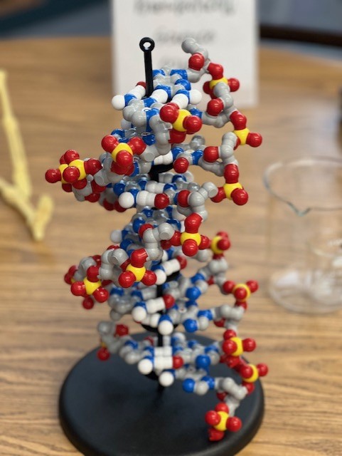 LMHSLibrary's tweet image. In the LMHS Library - PLTW Showcase today!! Introduction and displays of our amazing Engineering &amp;amp; Bio-Medical departments, showing and talking about their fields.  Go Mats!!