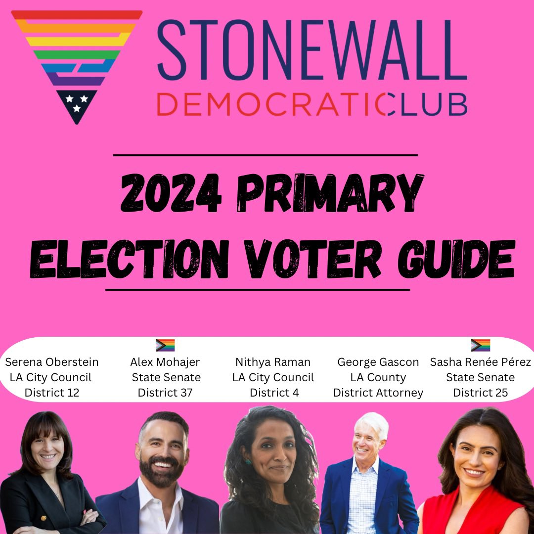 StonewallDems's tweet photo. 90% of ballots still remain unreturned  as of Feb 29! 

Not sure who to vote for? Take a look at the full SDC progressive voter guide by checking out our full list of endorsements in this link (includes judges!) 
🗳️🗳️🗳️ #VoteforDemocrats 
https://t.co/XY5o7NqENH https://t.co/LnxSZiu7Hy