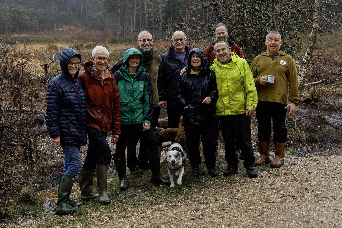 This is what commitment to nature looks like! 💚 Thank you to the amazing volunteers from The Friends of Udden & Cannon Hill Woodlands who braved the rain to carry out peat restoration as part of the #DorsetPeatPartnership #LeapInToNature #NatureRecoveryDorset @DorsetWildlife