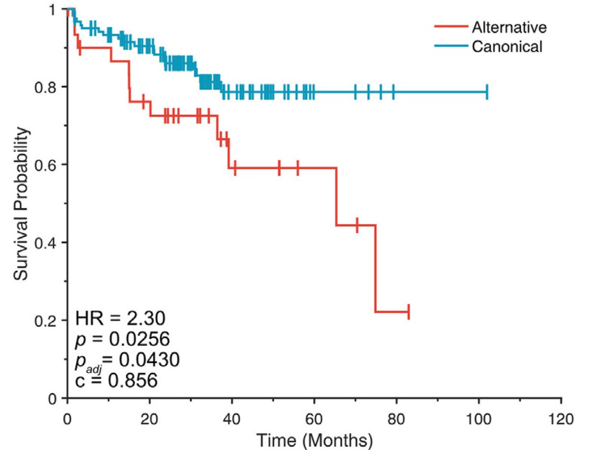 There are 2 types of prostate cancer based on their evolutionary trajectory ('evotypes') and this has prognostic significance sciencedirect.com/science/articl… @CellGenomics