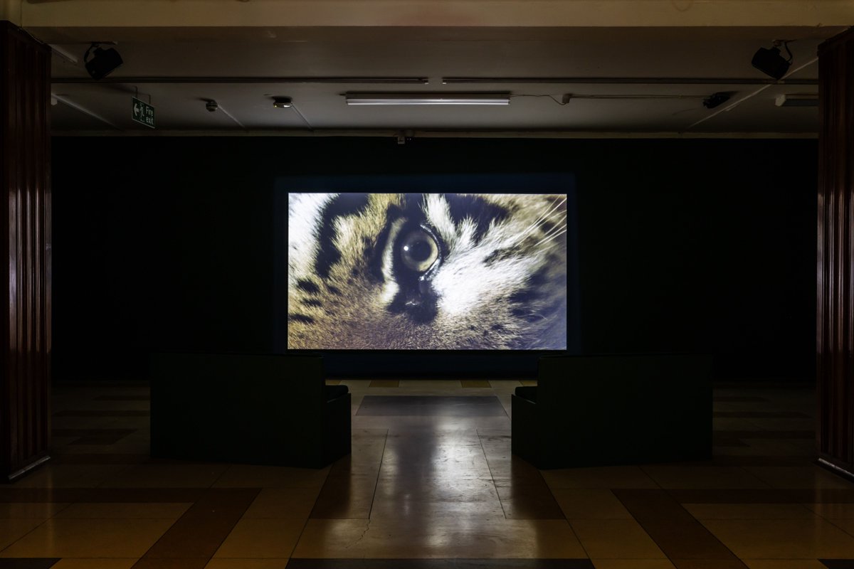 It's halfway through The Scale of Things @ExhibitionDJCAD Visit the exhibition Monday – Saturday 12–5pm Free, open to all More info > buff.ly/47jxmjb 📷 Saodat Ismailova, 'The Haunted', 2017 Installation view, Cooper Gallery, DJCAD 2024 Photo @SallyJubb