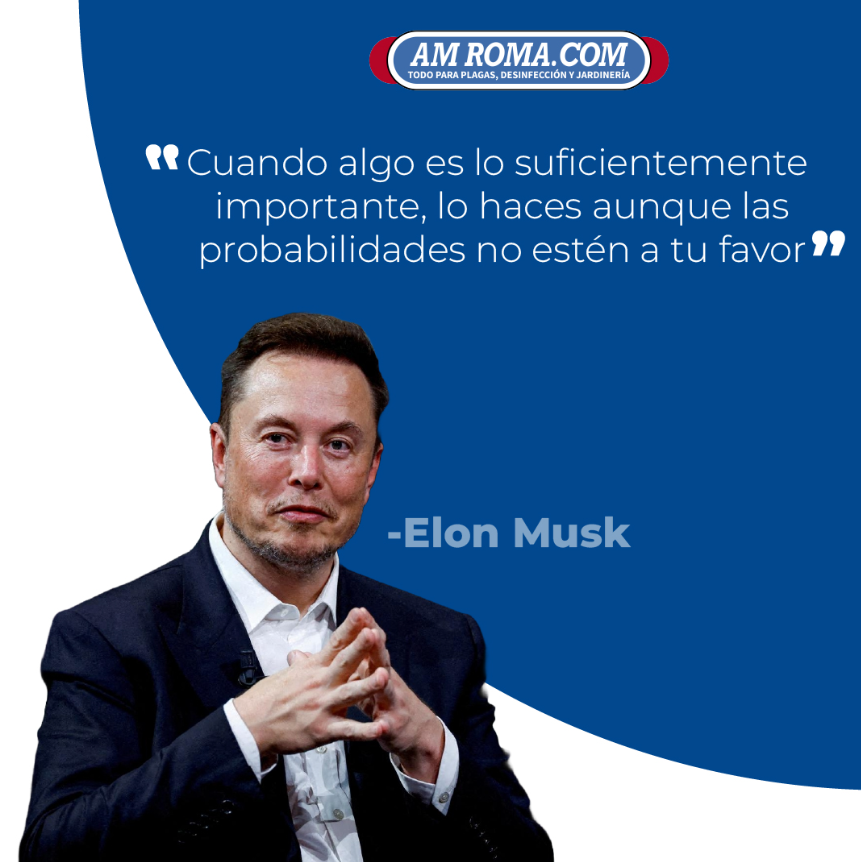 amroma_com's tweet photo. 💥🤩🎯 Frase del día, ¡Encuentra tu pasión y trabaja por cumplir todo lo que te propongas!

#amroma #amromafranquicias #negociopropio #elonmusk #frasedeldia #negociosexitosos #negociosonline #emprendimientos #franquiciasmexico #franquiciasdisponibles #motivational https://t.co/s7x6uS4ibj
