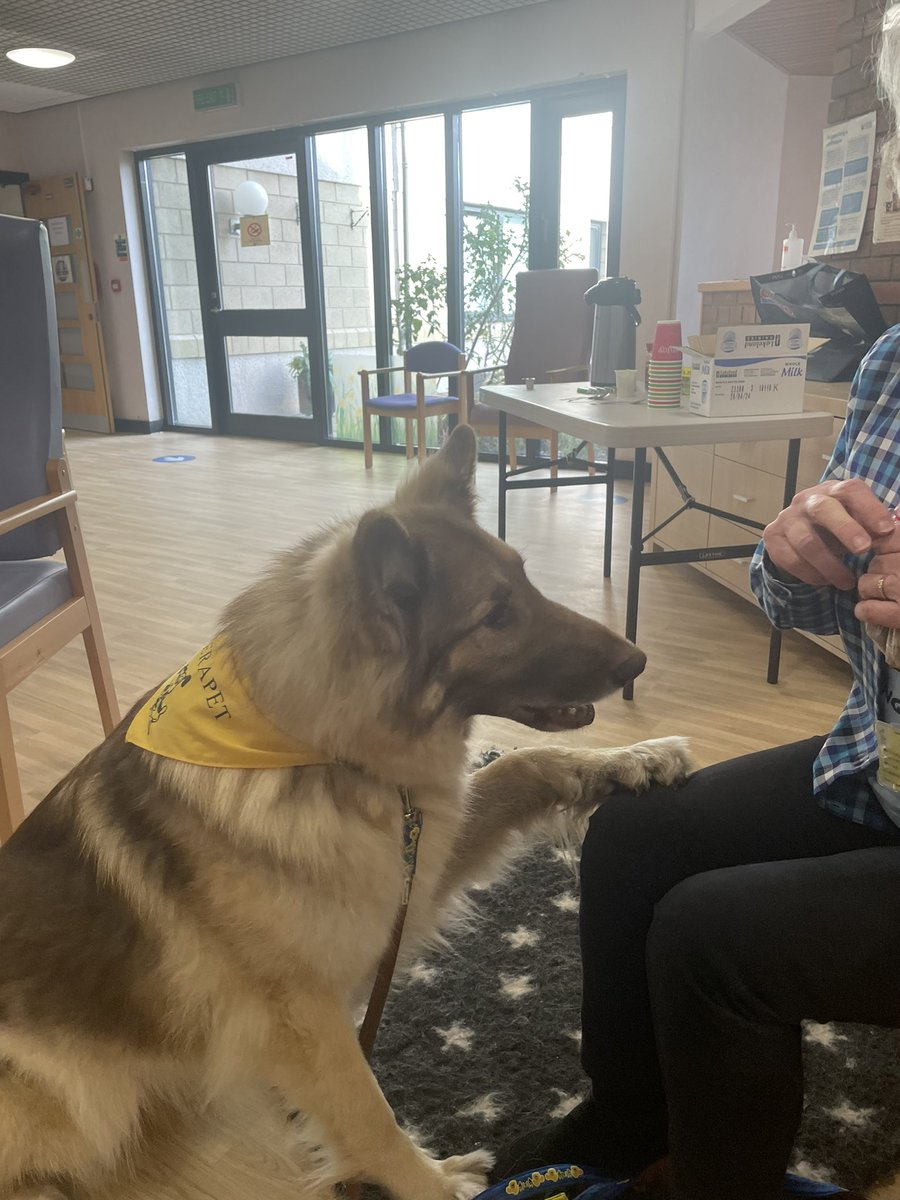 Thank you to Fiona, Julie, Leo and tweedie bear from @CanineConcern for giving us a fascinating talk on their therapet service. This was our first face to face MHLD HCSW forum since before the pandemic. You all do a fantastic job 🙂👏🏻 @NHSGrampian @WellsJulia1