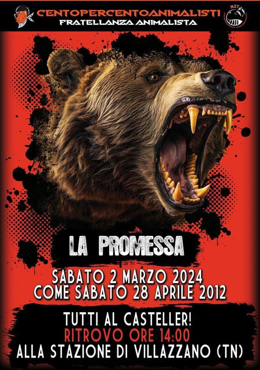 Sabato 2 marzo e lunedì 4 marzo, due importanti proteste in difesa degli orsi. Il 4 marzo il Consiglio della Provincia Autonoma di Trento deciderà sulla legge ammazza-orsi del Trentino! Diffondiamo!
Chiunque possa esserci, ci sia. Grazie di cuore #orsiliberi