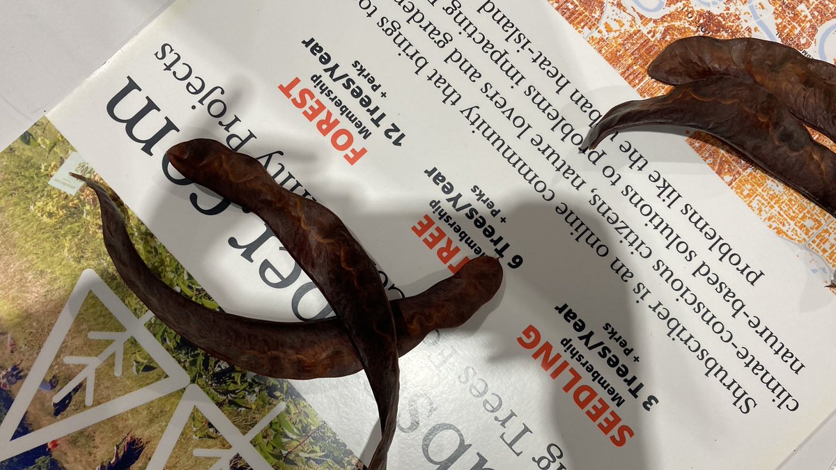 Hey, #GETCA2024,

If you want to grow trees with your class, find us at table 15 in the exhibition hall (West Wall). 

Bonus points if you can name the brown squiggly pods at our booth.