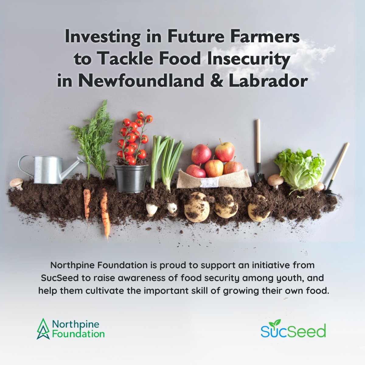 The Northpine Foundation is thrilled to announce a $300,000 investment in @SucSeedCanada to combat food insecurity in #NewfoundlandandLabrador,  educating  4000+ youth in sustainable agriculture, empowering them to #GrowLocal in hydroponic gardens. 
northpinefoundation.ca/blog/cultivati…