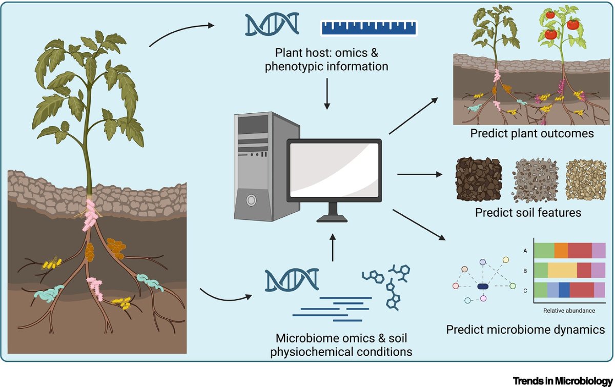 Gözde S. Demirer (@demirer_gozdes) on Twitter photo Curious how you can engineer agricultural soil microbiomes and predict associated plant phenotypes? Read our review that just came out in <a href="/TrendsMicrobiol/">Trends in Microbiology</a>:
authors.elsevier.com/a/1ighs_,2CiQu…
Congratulations, <a href="/chiara_berruto/">Chiara Berruto</a>!! Curious how you can engineer agricultural soil microbiomes and predict associated plant phenotypes? Read our review that just came out in <a href="/TrendsMicrobiol/">Trends in Microbiology</a>:
authors.elsevier.com/a/1ighs_,2CiQu…
Congratulations, <a href="/chiara_berruto/">Chiara Berruto</a>!!