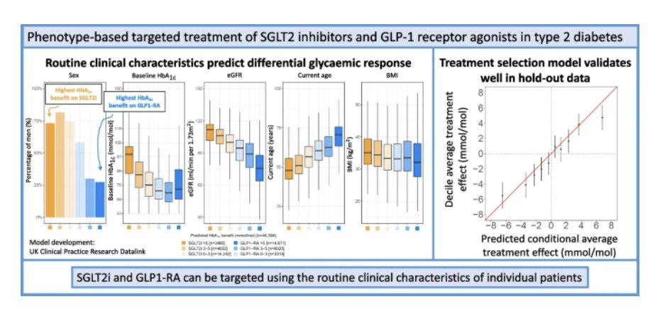 Precision medicine in #type2diabetes: Cardoso et al develop a new approach for phenotype-based targeting of SGLT2-inhibitors and GLP1-receptor agonists tinyurl.com/bp89t8aa🔓 @ExeterMed @john_den_ @angusgjones