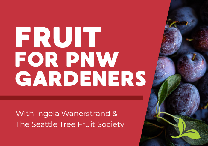March 2nd, 2-3pm  Expert horticulturist Ingela Wanerstrand shares her wisdom on the best fruit to  grow in NW Gardens &amp; how to grow it well. If you're just growing one blueberry in a pot or an entire orchard, you'll love this seminar! Seattle Tree Fruit Society meeting to follow.