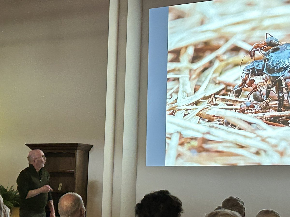 #Dankbaar.
Vandaag mocht ik een #natuurpresentatie doormiddel van eigen foto’s en filmpjes verzorgen voor de bewoners van #Woonzorgcentrum #Rivierenhof.

Als de natuur intrekken niet meer gaat halen we de natuur toch gewoon naar binnen….