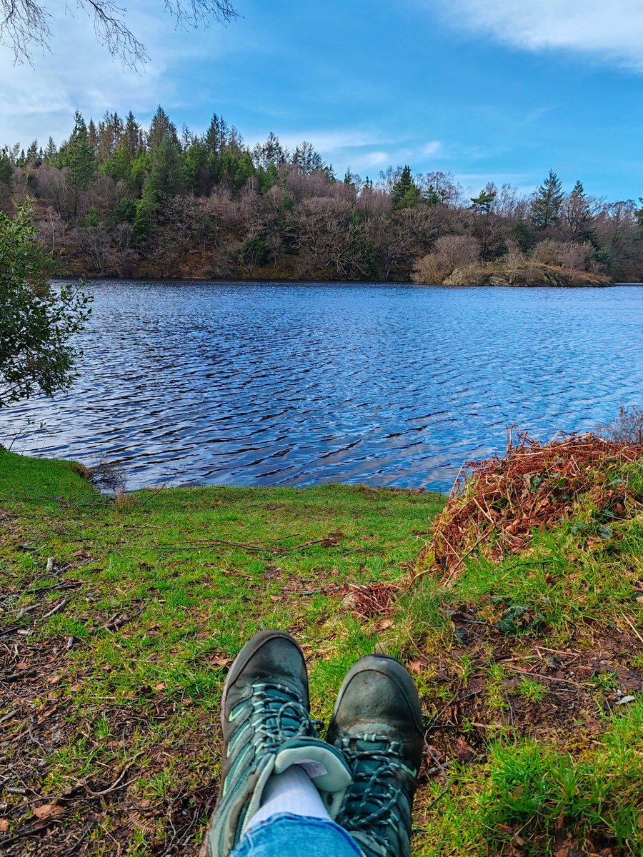 _ELLIE_JONES_x's tweet image. Lush little trips 🌻💫❤️ #rests #resets #adhd #edi